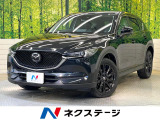 ターボ スマートシティブレーキサポート 純正10型ナビ 全周囲カメラ