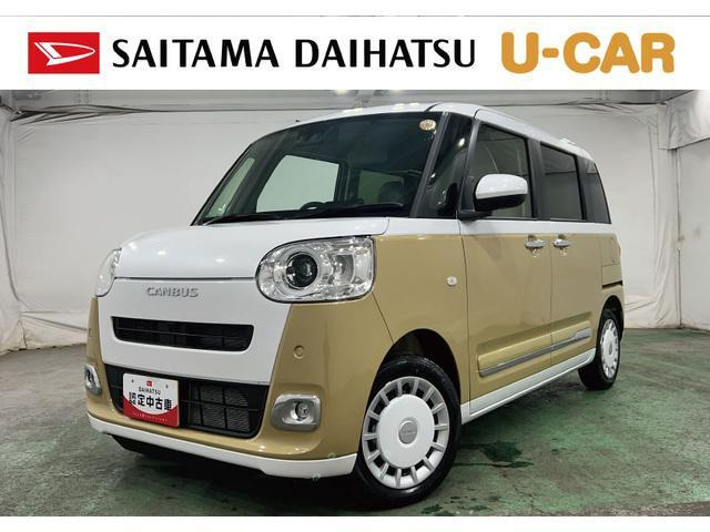 ムーヴキャンバス  ストライプス G