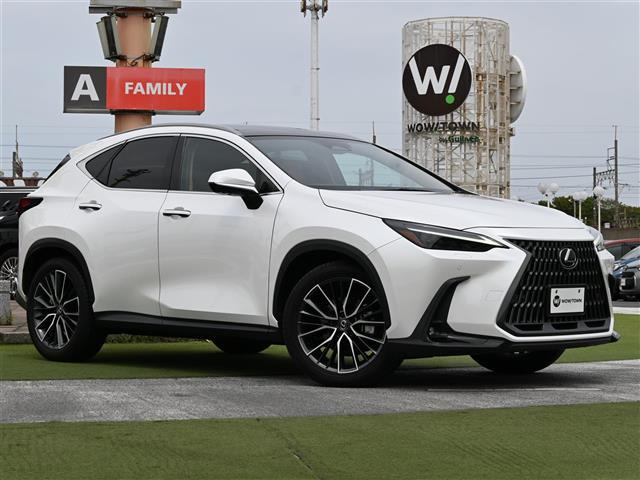 NX 250 バージョンL 4WD 4WD 本革シート