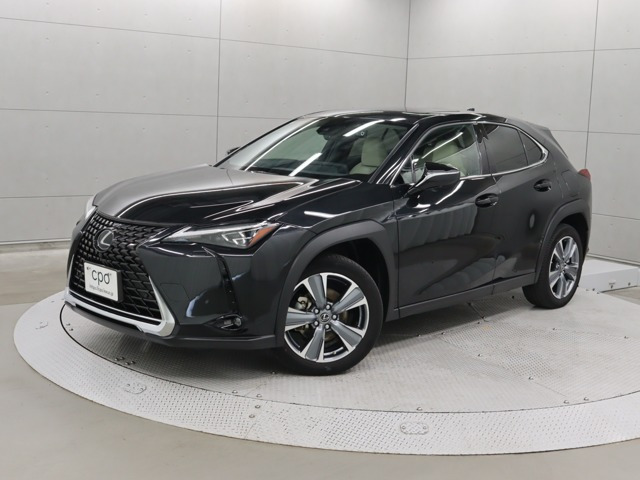 UX 300e バージョンL 