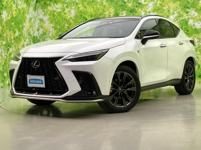 NX 350h Fスポーツ 