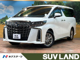 禁煙車 後席モニター 9型ナビ バックカメラ ブラインドスポットモニター