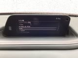 メーカーオプションTVチューナー付!