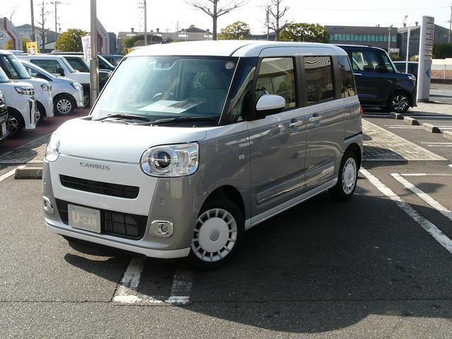 ムーヴキャンバス  ストライプス G