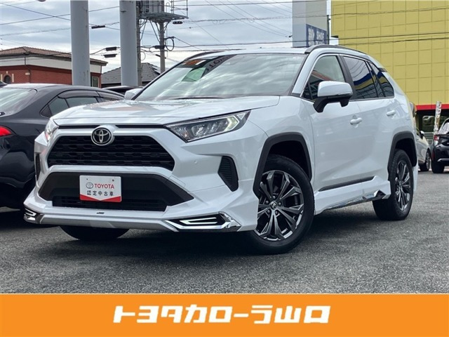 RAV4 2.0 X 