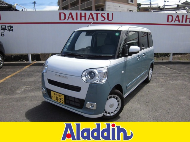 ムーヴキャンバス  ストライプス G