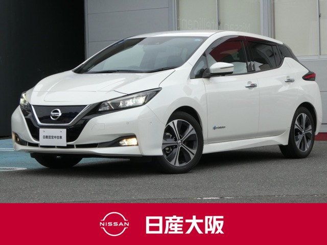 リーフ G 