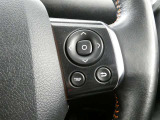 ステアリングスイッチで車両情報を切り替えて必要な情報を確認したりできます。