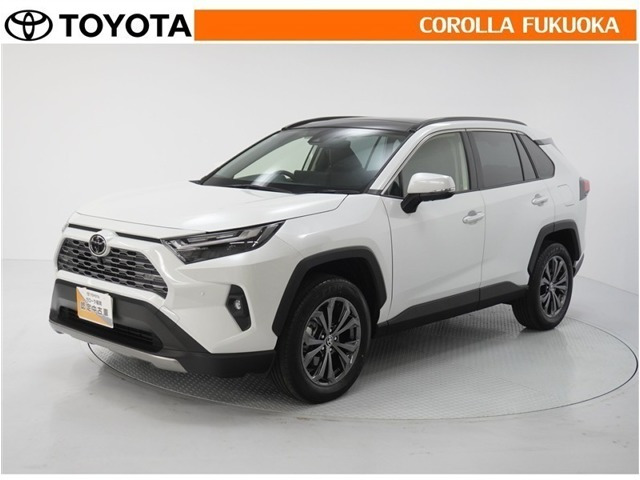 RAV4 2.5 ハイブリッド G E-Four 4WD 