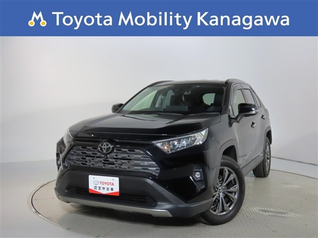 RAV4  2.0 G 4WD
