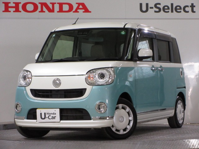 ムーヴキャンバス G メイクアップ SAIII 