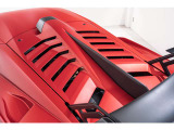 Snorkel and Rear Wing in Carbon Matt