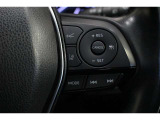 オートクルーズ、運転支援システムスイッチ。