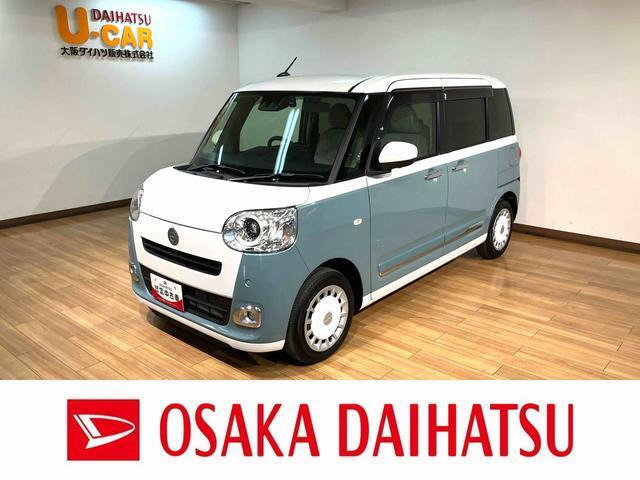 ムーヴキャンバス  ストライプス G