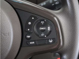◆アダプティブクルーズコントロール◆予め設定した車速内でクルマが自動的に加減速。前走車との適切な車間距離を維持しながら追従走行します。【LKAS】車線維持支援システムでステアリング操作を支援。