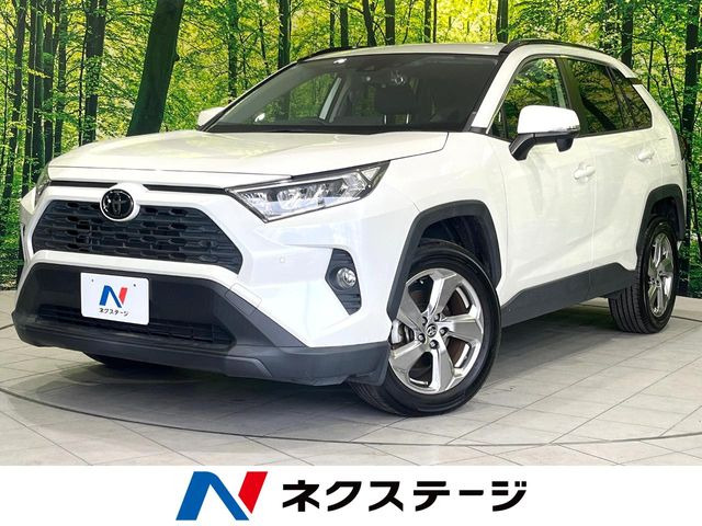 RAV4 2.0 X 