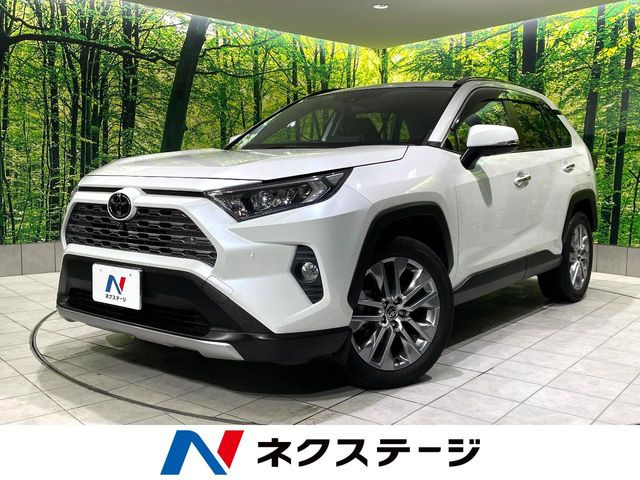 RAV4 2.0 G Zパッケージ 4WD 