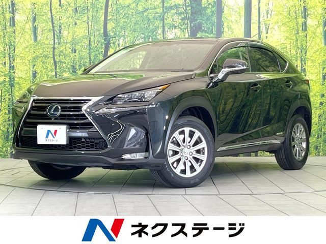 NX300h Iパッケージ