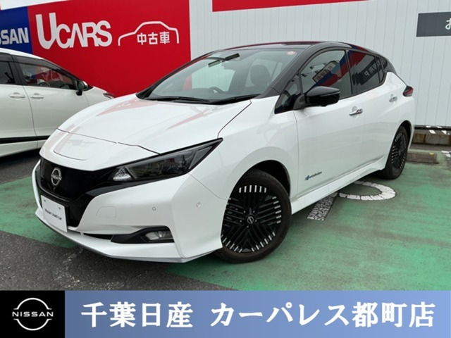 リーフ e+ G 
