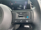 プロパイロットも付いているので高速道路での運転も快適です。