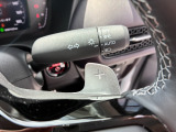 MTモード付きなので運転がより楽しくなります!