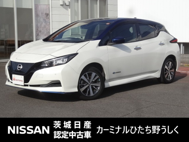 リーフ e+ X 