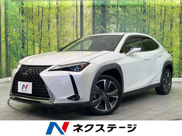 UX 250h バージョンC 