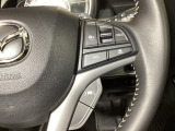 アダプティブクルーズコントロールは先行車との車間を維持しながら追従走行を行い、長距離でのドライバー負担を軽減させてくれます。