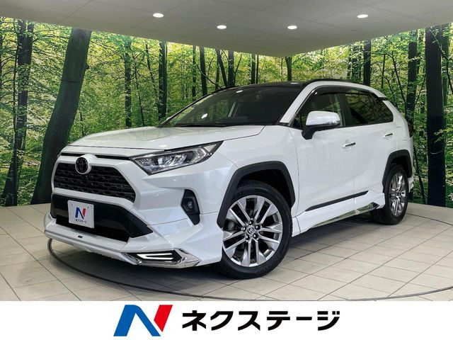 RAV4 2.0 G Zパッケージ 4WD （6BA-MXAA54）