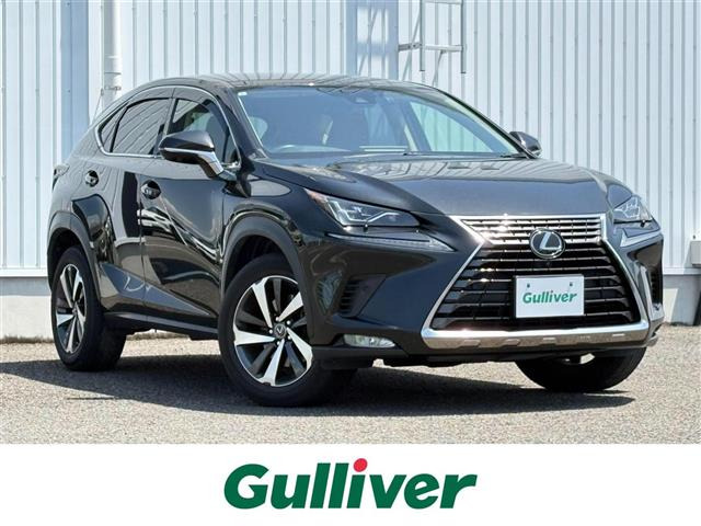 NX 300 バージョンL 本革シート 修復歴無し