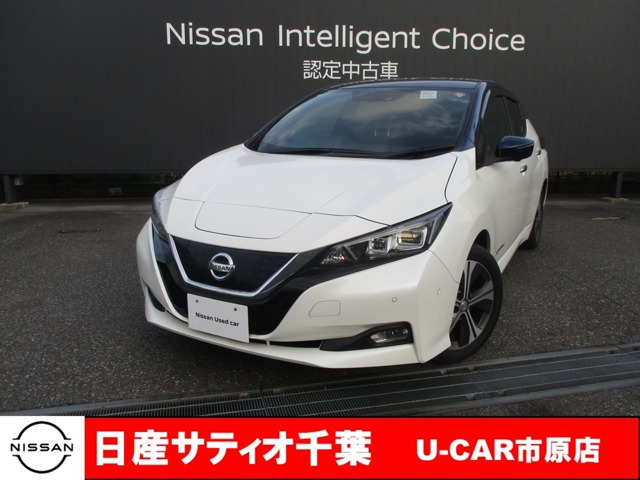 リーフ G 