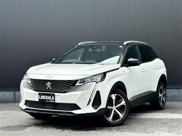 3008  修復歴無し