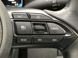 前方の車との車間を設定し、スピードを上げたり緩めたりを自動で行ってくれる追尾式の「レーダークルーズ」。上級装備の一つです!高級車にしかつかない嬉しい機能です。