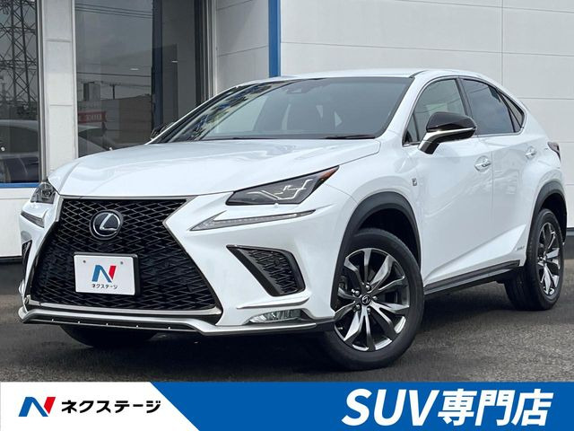NX 300h Fスポーツ 