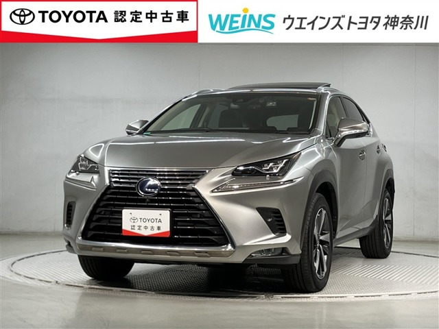 NX 300h Iパッケージ 