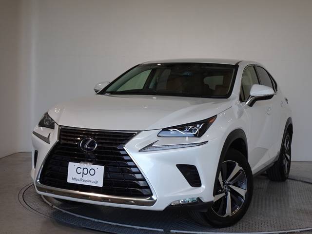 NX 300h バージョンL 