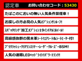LS 460 Fスポーツ 全画面ナビサンルーフ 連眼LED