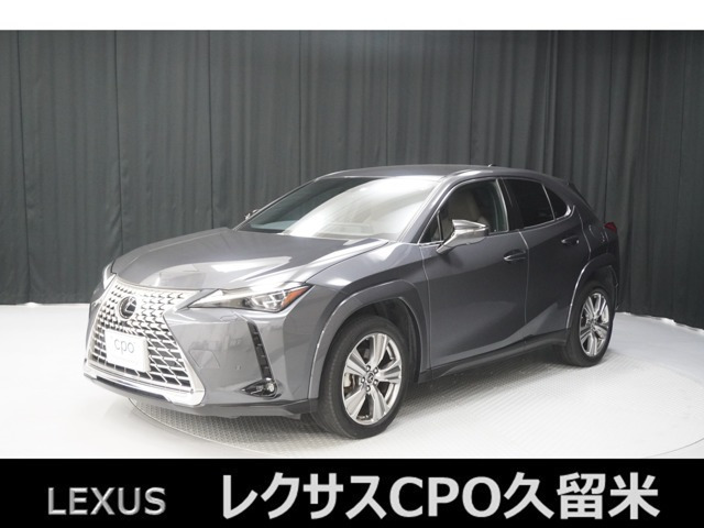 UX 250h グレイスフル エクスプローラー 