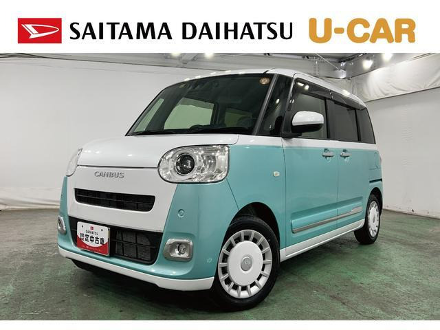 ムーヴキャンバス  ストライプス G