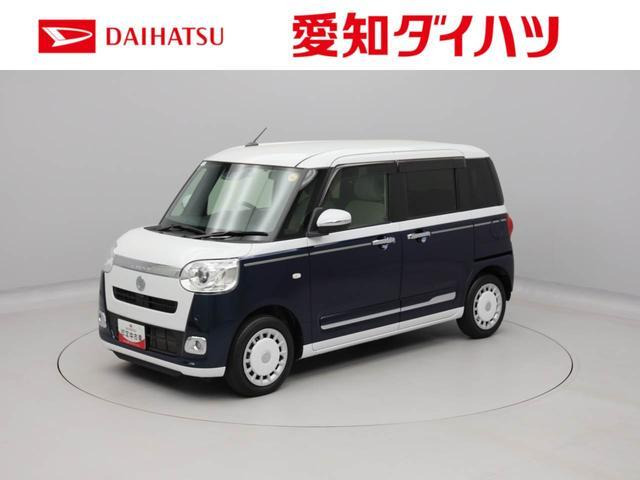 ムーヴキャンバス  ストライプス G