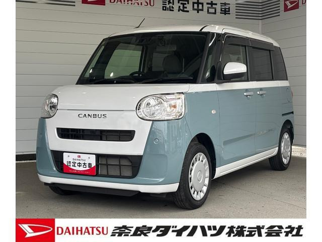 ムーヴキャンバス  ストライプス X