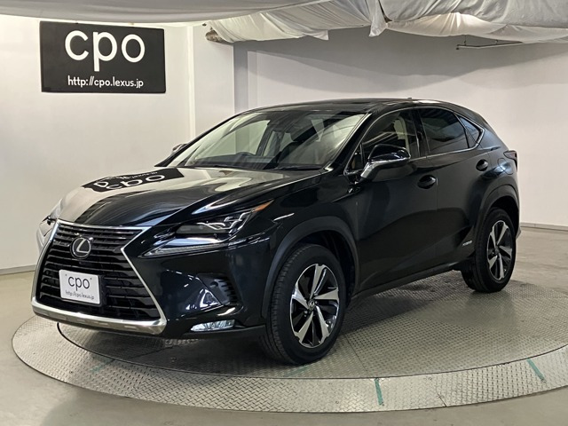 NX 300h バージョンL 