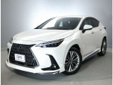 ※ボディには洗車などによると思われる薄く目立たない線傷がございます。