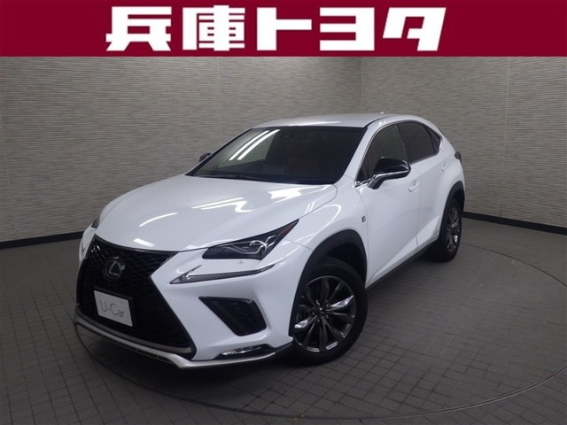 NX 300h Fスポーツ 