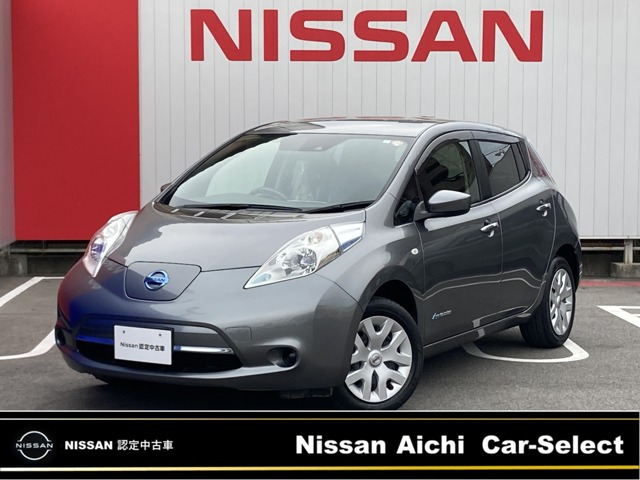 リーフ 30kWh X 