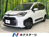 両側電動ドア 純正10型ナビ 全周囲カメラ 衝突被害軽減システム