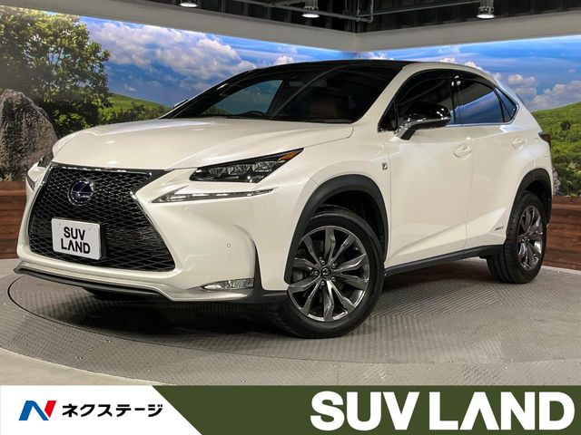 NX 300h Fスポーツ 