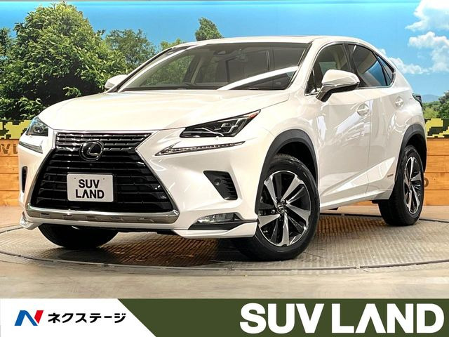 NX 300h Iパッケージ 
