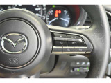 クルーズコントロール機能付きで高速道路を一定速度で安定して走る事が出来ます。
