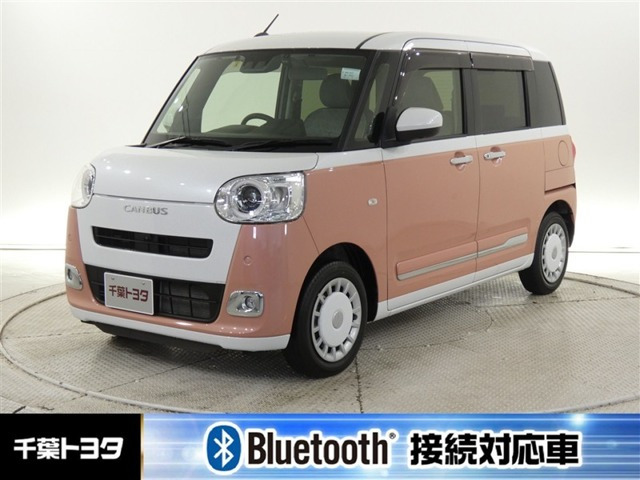 ムーヴキャンバス  ストライプス G